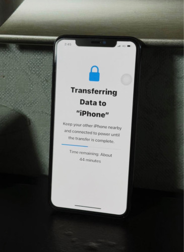 iPhone 11 Pro Max 256GB 98% 215$