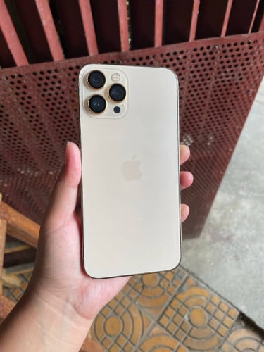 iPhone 12 Pro Max 256g