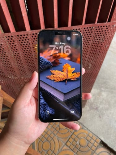 iPhone 12 Pro Max 256g
