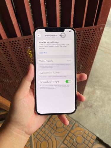 iPhone 12 Pro Max 256g