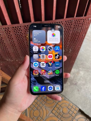 iPhone 12 Pro Max 256g