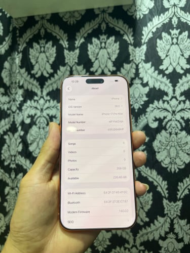 iPhone 17 pro max