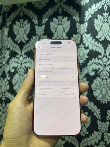 iPhone 17 pro max