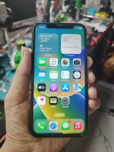 IPhone X