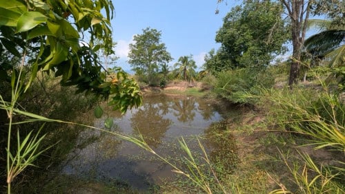 Land