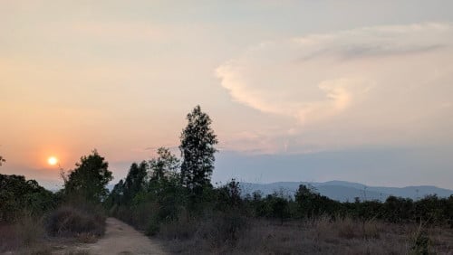 Land