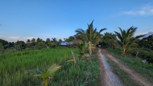 Land
