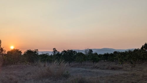 Land