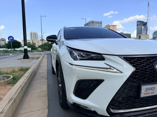 Lexus nx300 2018