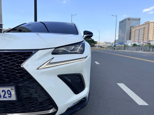 Lexus nx300 2018