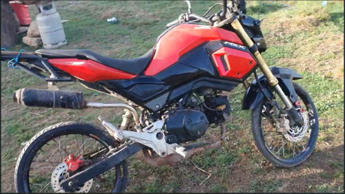 MSX Grom 2019