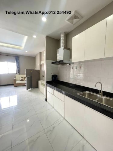 Nice Furnished Elevator Apartment for Rent
