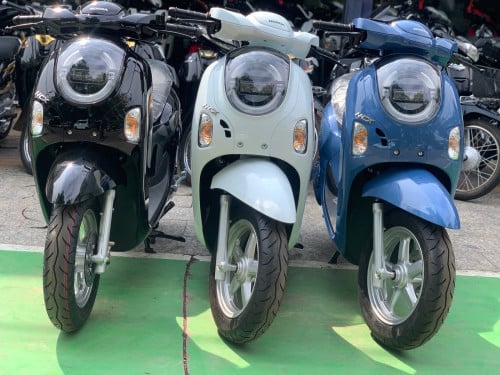 Scoopy 026 แแแแพแแแ๐คฉ
