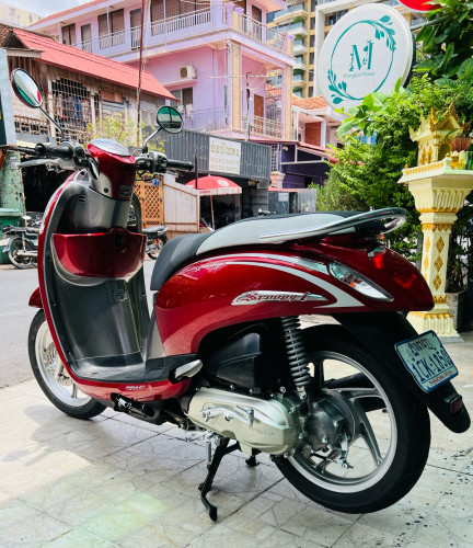 Scoopy ឆ្នាំ 2013 លក់តលៃពិសេស