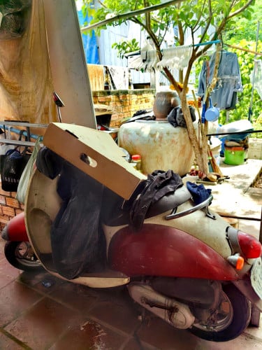 Scoopy mini