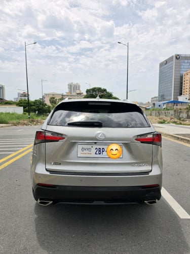 Titanium 6ប៉េតុង ក្នុងឈឺរី