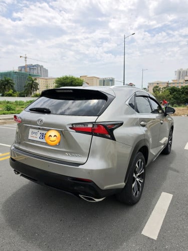 Titanium 6ប៉េតុង ក្នុងឈឺរី