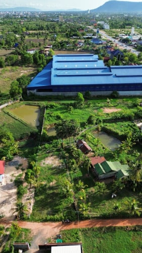 ដីលក់ក្រុងកំពត