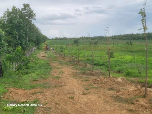 ដីចំការលក់បន្ទាន់