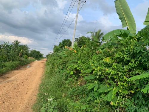 ដីចំការលក់