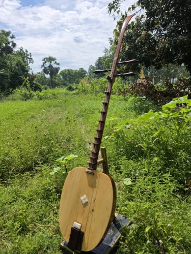 ចាប៉ីដងវែង ឬឈើប៉ី