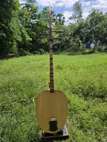 ឈើប៉ីឬចាប៉ីដងវែង