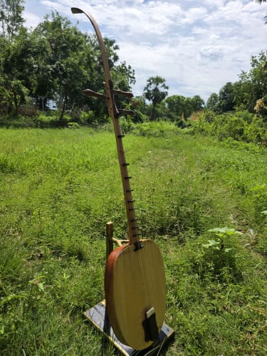 ឈើប៉ីឬចាប៉ីដងវែង