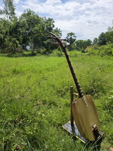 ចាប៉ីឬឈើប៉ីដងវែង