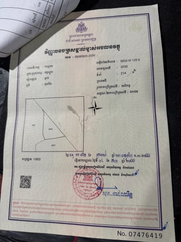 ដីស្រែលើផ្លូវ30m លក់ឡៃឡុងចោល