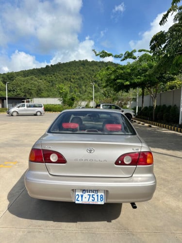 ឡានលក់ 5350 ចចារ