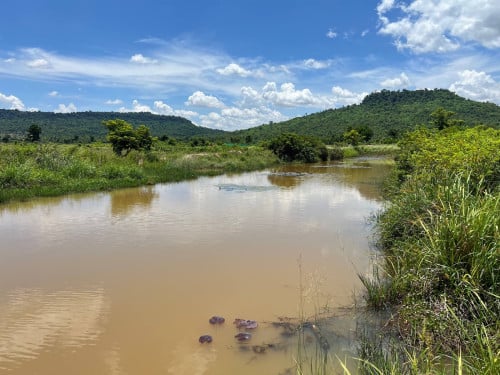 ដីលក់ឡៃឡុងម្ចាស់កុនលុយក្រោមទីផ្សារ70%ពិតៗជិតរមណ្នីដ្ឋានបឹាងឈូក