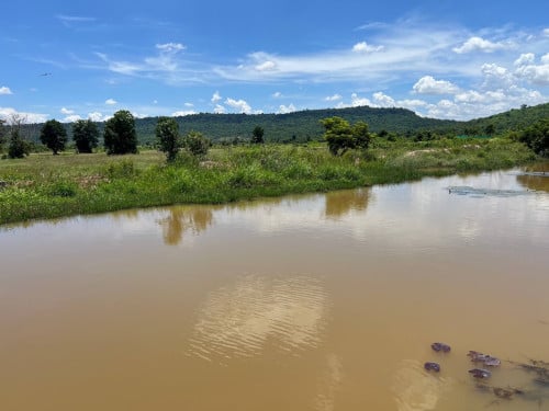ដីលក់ឡៃឡុងម្ចាស់កុនលុយក្រោមទីផ្សារ70%ពិតៗជិតរមណ្នីដ្ឋានបឹាងឈូក