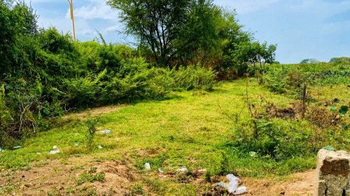 【Negotiable】10,000 sqm Land for Sale in Chbar Ampov Area