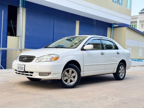 corolla . 2003 - LE  ឡានថ្មី​ មិនបុកមិនប៉ះ​