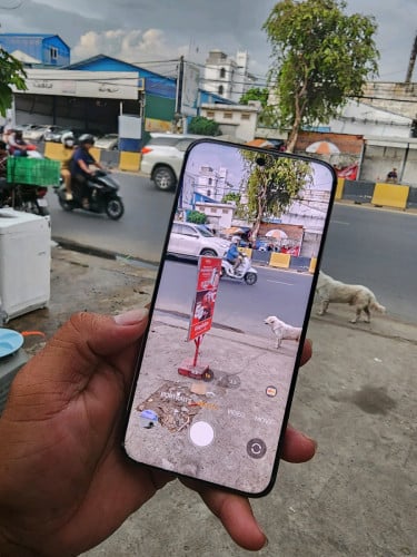 Honor Magic 6 ch version have Play store