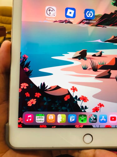 Ipad Pro 9.7