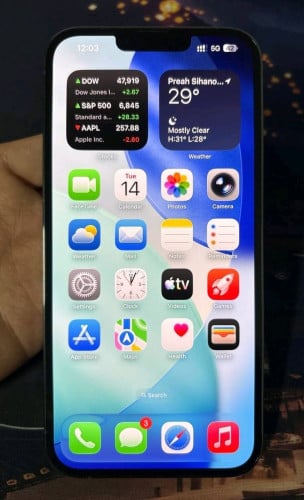 iPhone 13promax 256g
