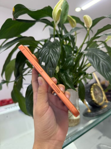 iPhone 17Pro LL/A