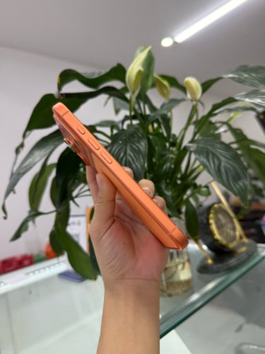 iPhone 17Pro LL/A
