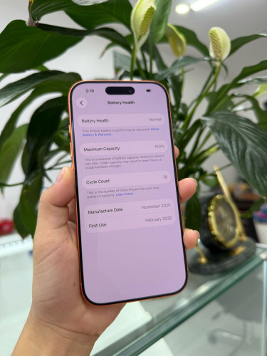 iPhone 17Pro LL/A
