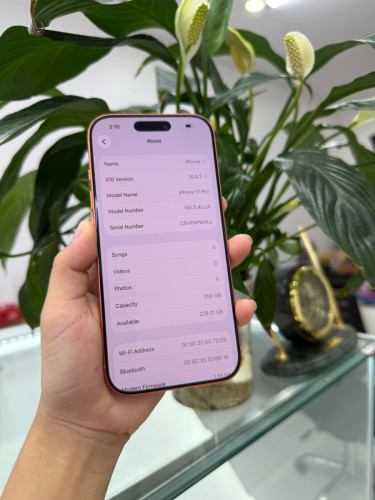 iPhone 17Pro LL/A