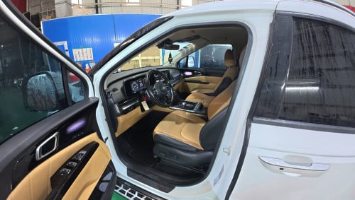 Kia Carnival full