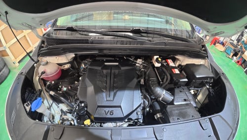 Kia Carnival full