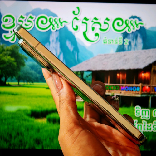 Xiaomi 15(តូច) Silver Edition (វៃដូបាន)មានធានាច្បាស់លាស់ត្រឹមត្រូវ