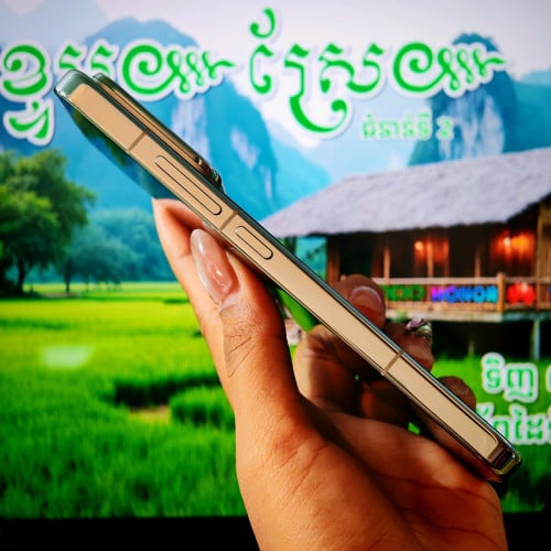Xiaomi 15(តូច) Silver Edition (វៃដូបាន)មានធានាច្បាស់លាស់ត្រឹមត្រូវ