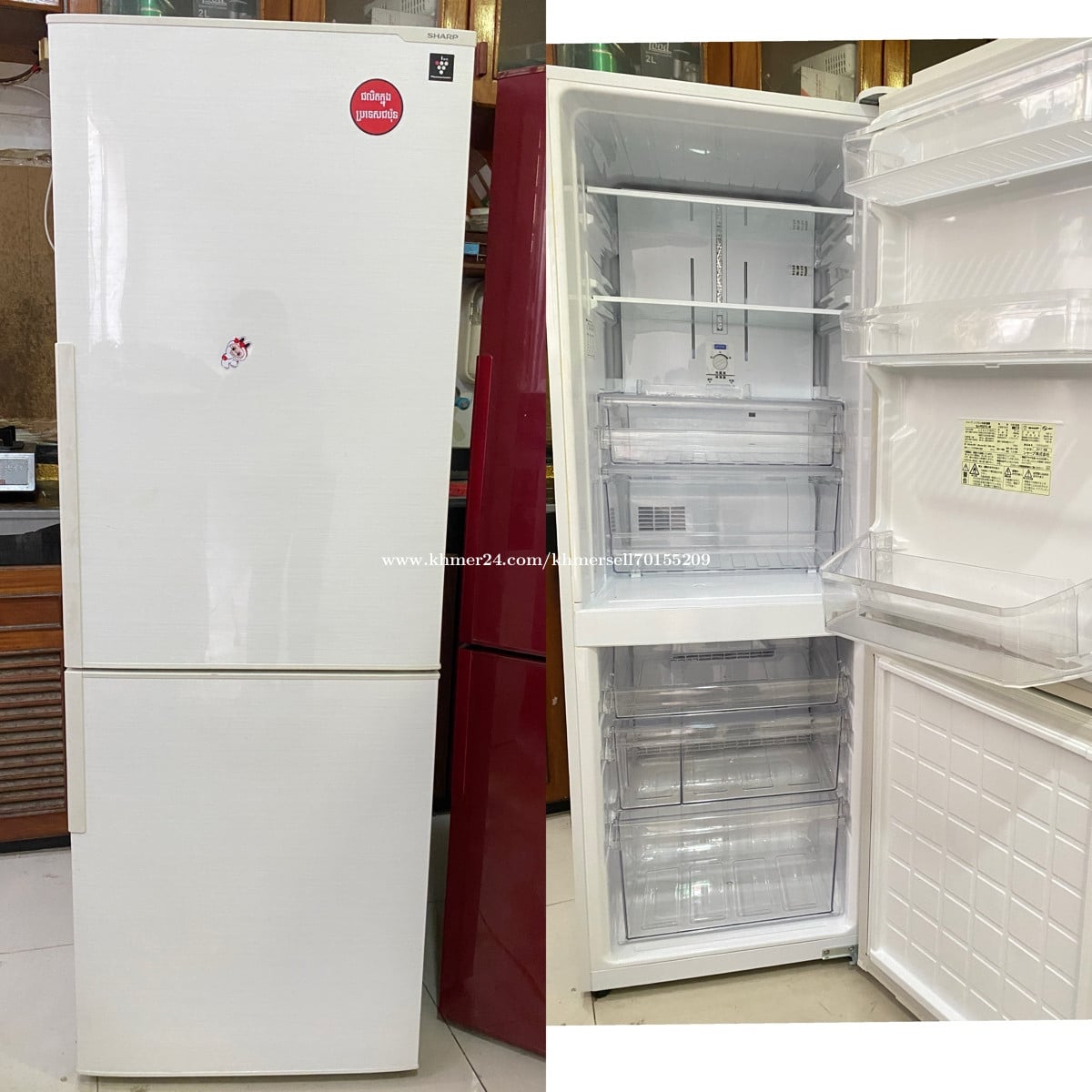 Sharp98%សេរីខ្ពស់កំពស់1m60កកស្ងួត