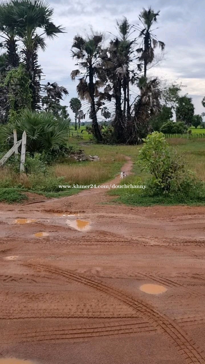 ដីលក់បន្ទាន់នៅក្រុងឧដុង្គម៉ែជ័យ10000