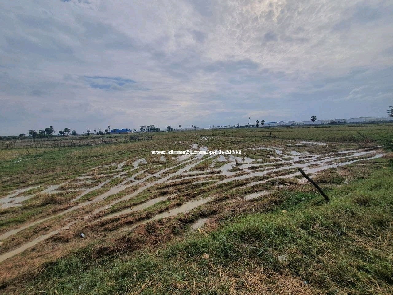 ចង់លក់ដីស្រែមួយកន្លែងទំហំ2ហាត់តាជាងទីតាំងនៅខេត្តបាត់ដំបងស្រុកបាណន់ឃុំស្នឹង