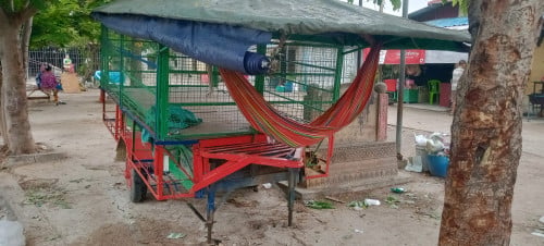 លក់ កម្មង់ដឹកអីវ៉ាន់