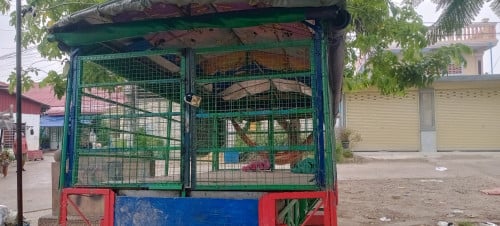 លក់ កម្មង់ដឹកអីវ៉ាន់